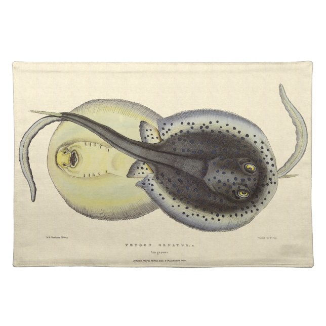 Spotted Stingrays, Vintage Marine Ocean Animals Cloth Placemat (Front)