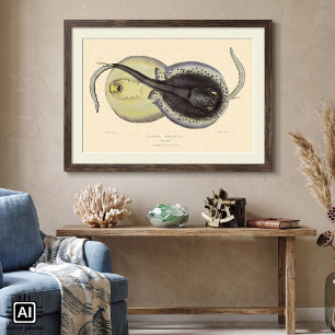 Spotted Stingrays, Vintage Marine Ocean Animals Poster