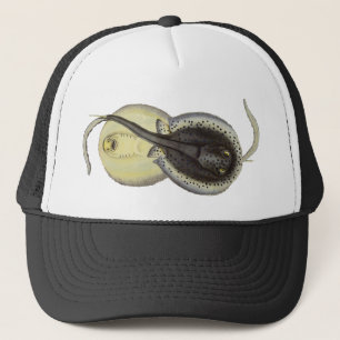 Spotted Stingrays, Vintage Marine Ocean Animals Trucker Hat