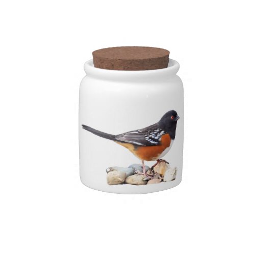 SPOTTED TOWHEE 1 CANDY JAR