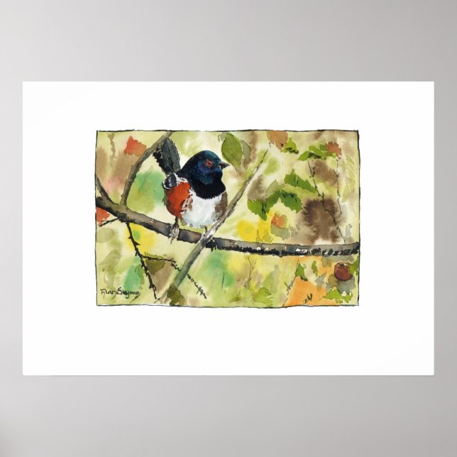 Spotted Towhee, bird image, wall art, decoration (Front)