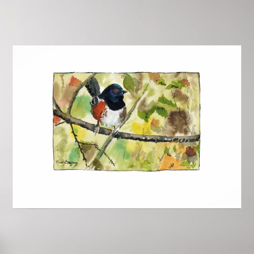 Spotted Towhee bird image wall art decoration