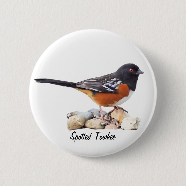 SPOTTED TOWHEE BUTTON (Front)