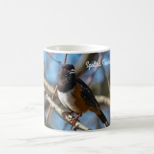 Spotted Towhee Coffee Mug