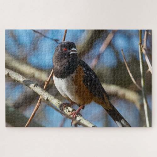 Spotted Towhee Jigsaw Puzzle