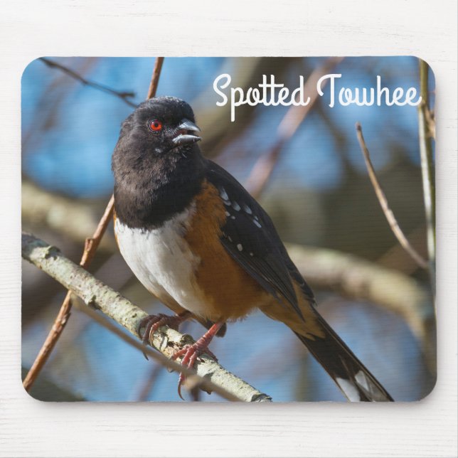 Spotted Towhee Mouse Pad (Front)