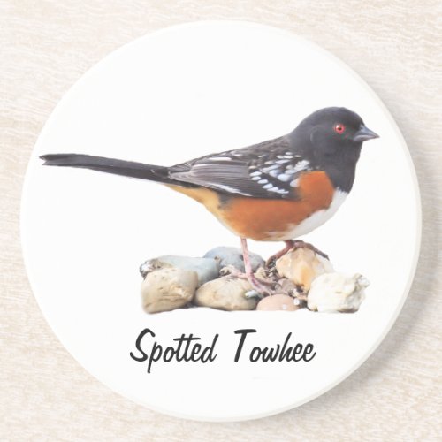 SPOTTED TOWHEE SANDSTONE COASTER