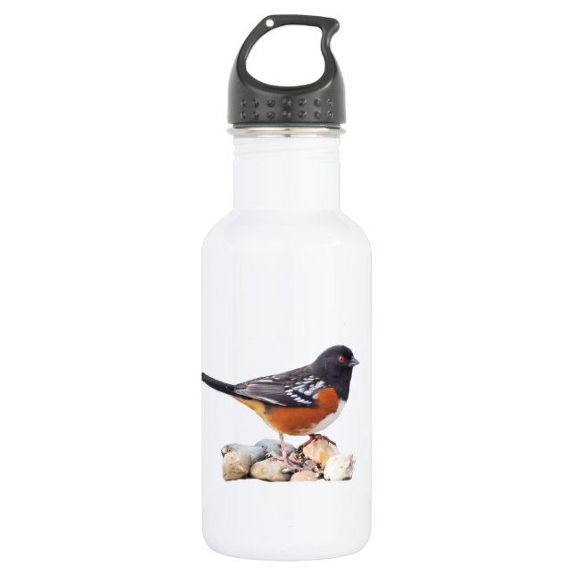 SPOTTED TOWHEE STAINLESS STEEL WATER BOTTLE (Front)