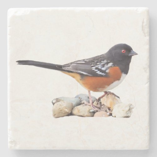 SPOTTED TOWHEE STONE COASTER
