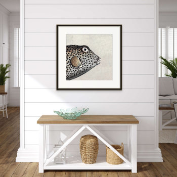 Spotted Trunkfish Beach House Vintage Poster by AntiqueImages at Zazzle