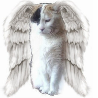 Spotty Angel Photo Sculpture