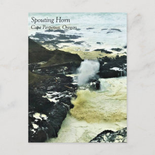 Spouting Horn, Cape Perpetua, Oregon Coast Postcar Postcard
