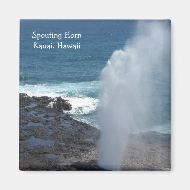 Spouting Horn in Kauai, Hawaii Magnet (Front)