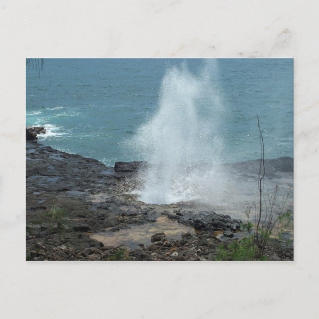 Spouting Horn Postcard (Front)