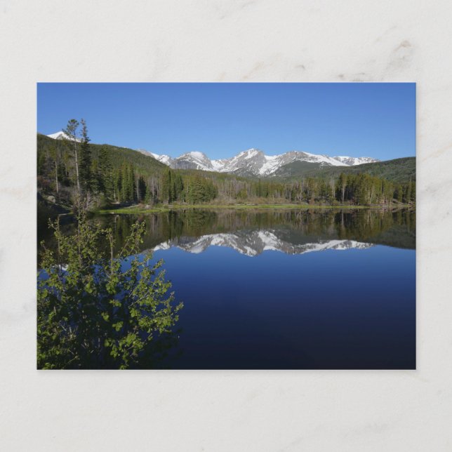 Sprague Lake I at Rocky Mountain National Park Postcard (Front)