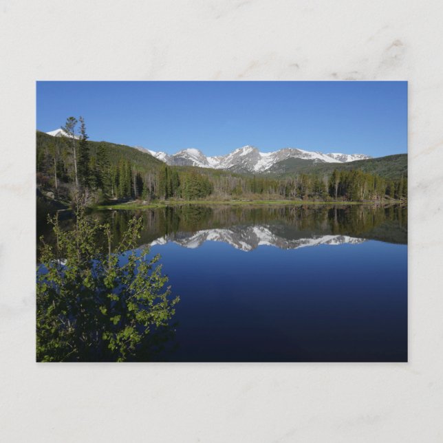 Sprague Lake I at Rocky Mountain National Park Postcard (Front)