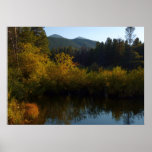 Sprague Lake in Fall Poster