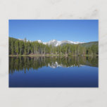 Sprague Lake Reflection Postcard
