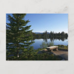 Sprague Lake View Postcard