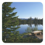 Sprague Lake View Square Sticker