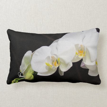 Spray Of White Orchids Lumbar Pillow