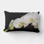Spray Of White Orchids Lumbar Pillow at Zazzle