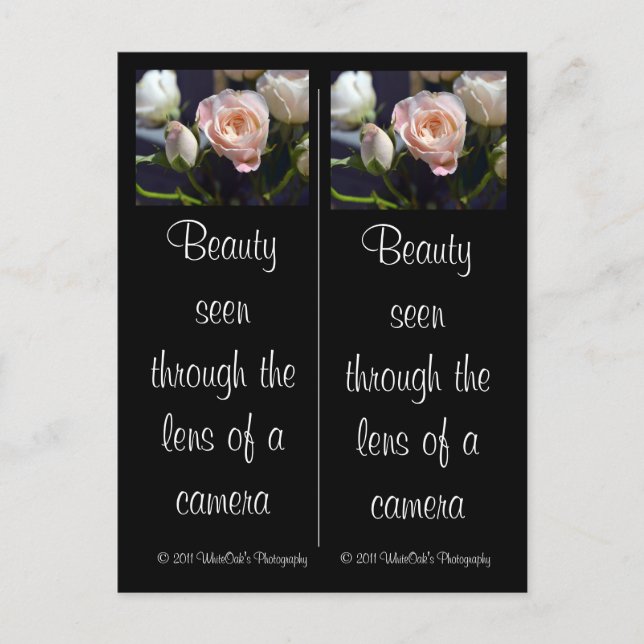 Spray Rose & Rose Bud Bookmarks Postcard (Front)