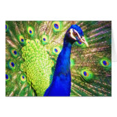 Spread The Love (Front Horizontal)