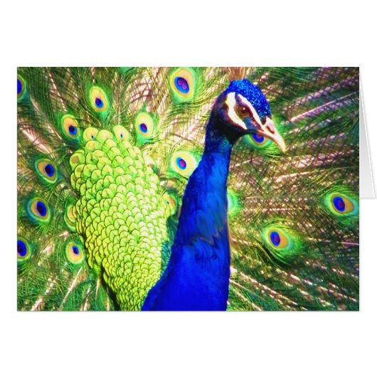 Spread The Love (Front Horizontal)