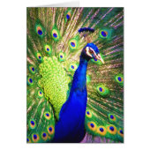 Spread The Love (Front)