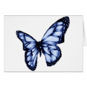 Spread your wings #3 (Front Horizontal)