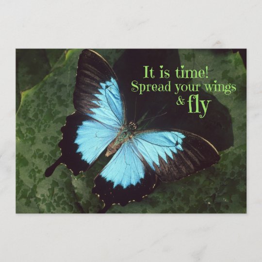 Fly Away Butterfly Cards Zazzle