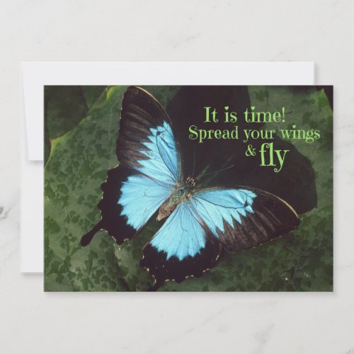 Spread your Wings and Fly Butterfly
