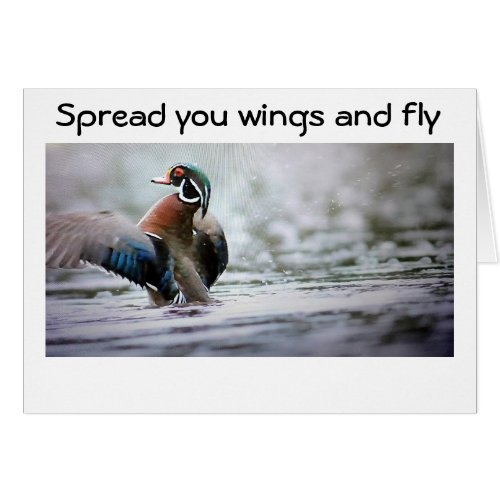 SPREAD YOUR WINGSFLY TO ME_NEED A HUG