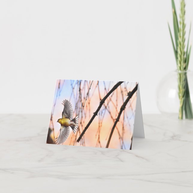 "Spread Your Wings" (Goldfinch) - Blank Note Card (Front)