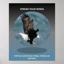 spread-your-wings