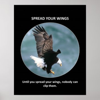 Spread-your-wings Poster by marys2art at Zazzle