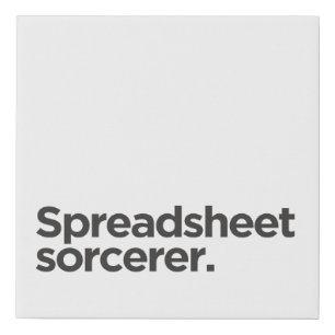 Spreadsheet Sorcerer Funny Gift for Coworkers Faux Canvas Print