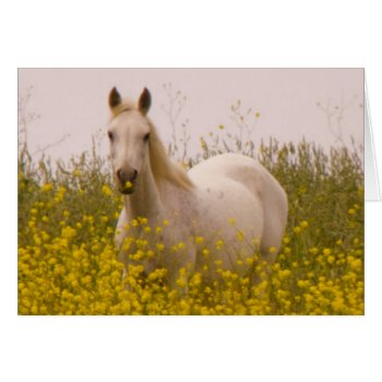 Spring by AuraEditions at Zazzle