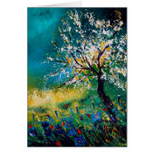 spring450408 (Front)