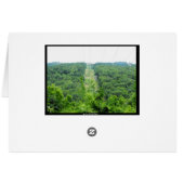 Spring 40 (Back Horizontal)