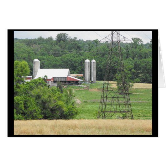 Spring 40 (Front Horizontal)