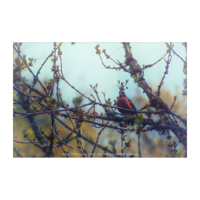 Spring Acrylic Print (Front)