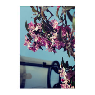 Spring Acrylic Wall Art