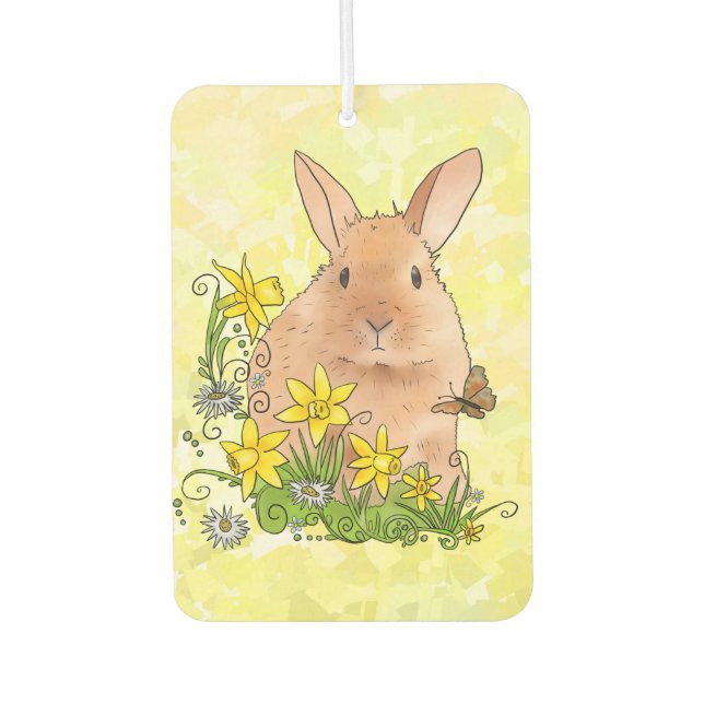 spring air freshener (Front)