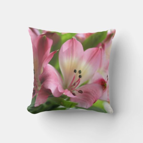 Spring Alstro Throw Pillow