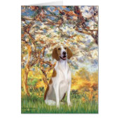 Spring- American Foxhound (Front)