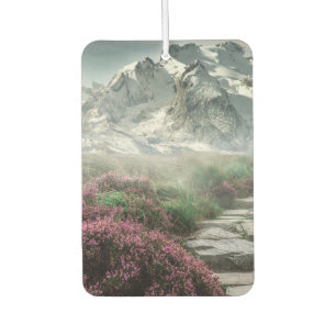 Spring and Winter Air Freshener