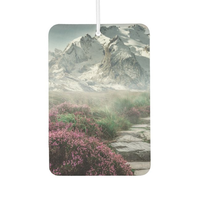 Spring and Winter Air Freshener (Front)