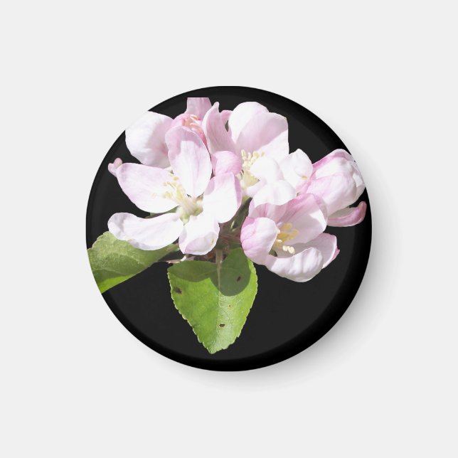 Spring Apple Blossom Fridge Magnet Round (Front)